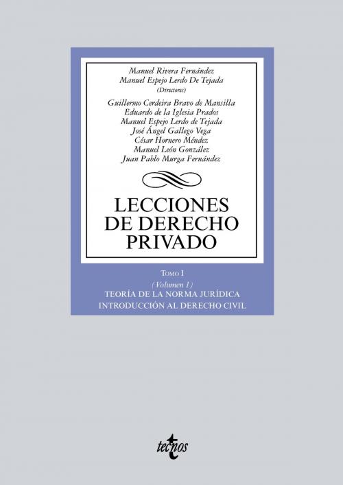 Cover of the book Lecciones de Derecho privado by Manuel Rivera Fernández, Manuel Espejo Lerdo de Tejada, Eduardo de la Iglesia Prados, César Hornero Méndez, Juan Pablo Murga Fernández, Tecnos