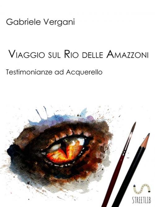Cover of the book Viaggio sul Rio delle Amazzoni by Gabriele Vergani, Gabriele Vergani