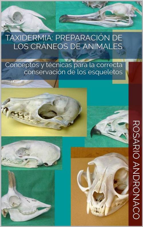Cover of the book Taxidermia: Preparación de los cráneos de animales - Conceptos y técnicas para la correcta conservación de los esqueletos by Rosario Andronaco, Rosario Andronaco
