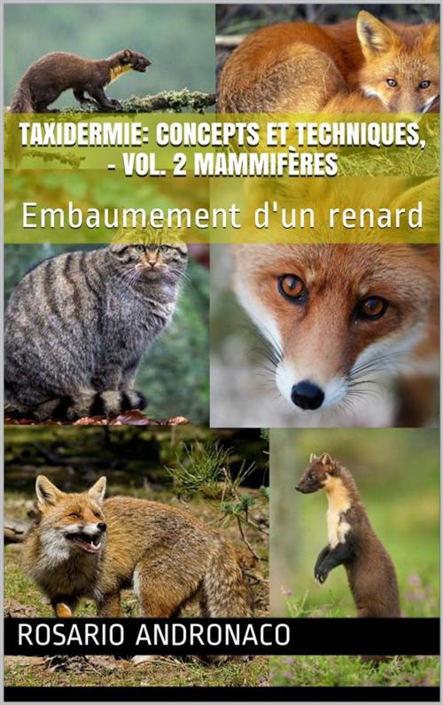 Cover of the book Taxidermie: concepts et techniques, - vol. 2 mammifères - Embaumement d'un renard by Rosario Andronaco, Rosario Andronaco