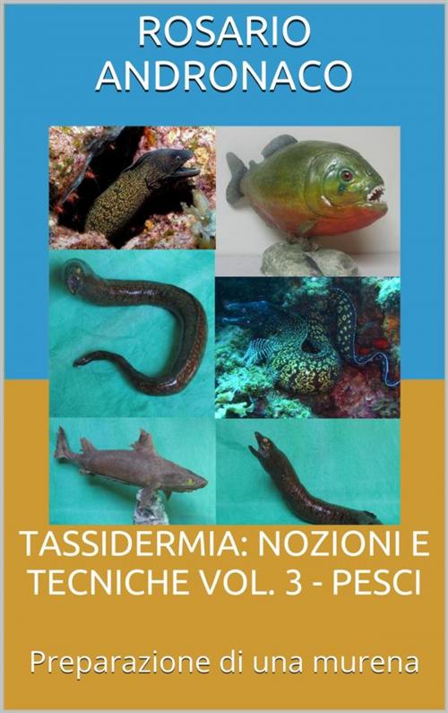 Cover of the book TASSIDERMIA: NOZIONI E TECNICHE VOL. 3 - PESCI - Preparazione di una murena by Rosario Andronaco, Rosario Andronaco