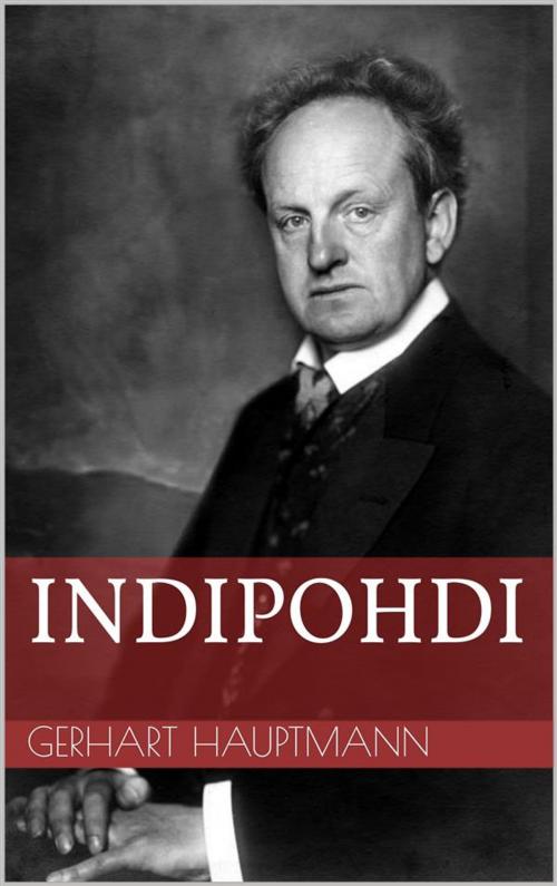Cover of the book Indipohdi by Gerhart Hauptmann, Paperless