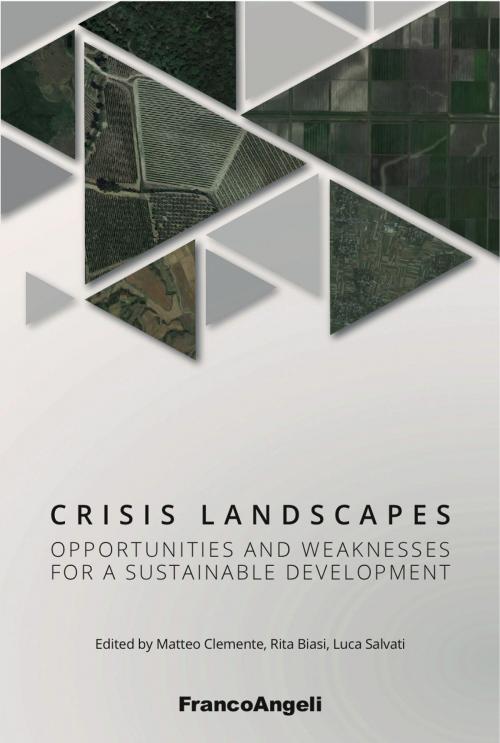 Cover of the book Crisis landscapes by Matteo Clemente, Rita Biasi, Luca Salvati, Franco Angeli Edizioni