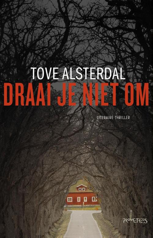 Cover of the book Draai je niet om by Tove Alsterdal, Prometheus, Uitgeverij
