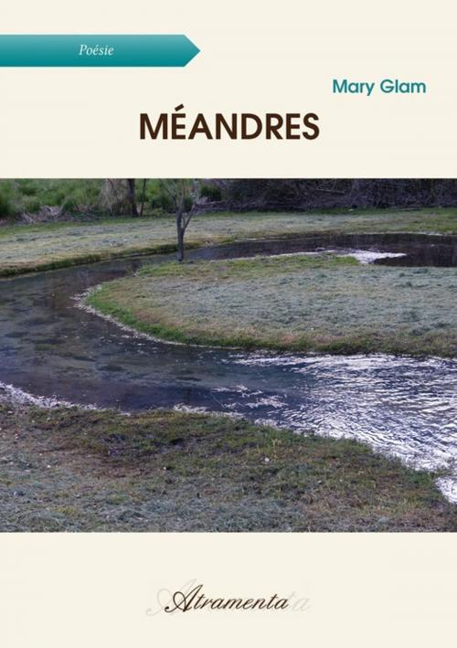 Cover of the book Méandres by Mary Glam, Atramenta