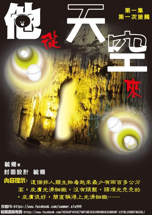 Cover of the book 他從天空來第1集 by 毓翎, 夏毓翎