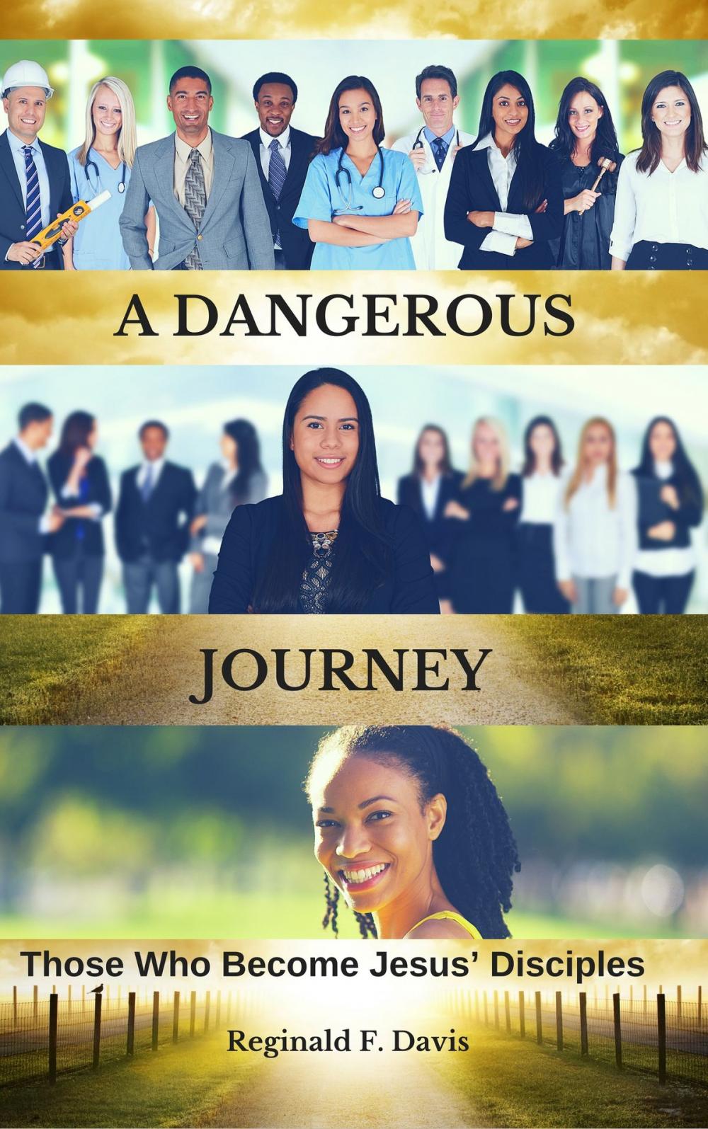 Big bigCover of A DANGEROUS JOURNEY