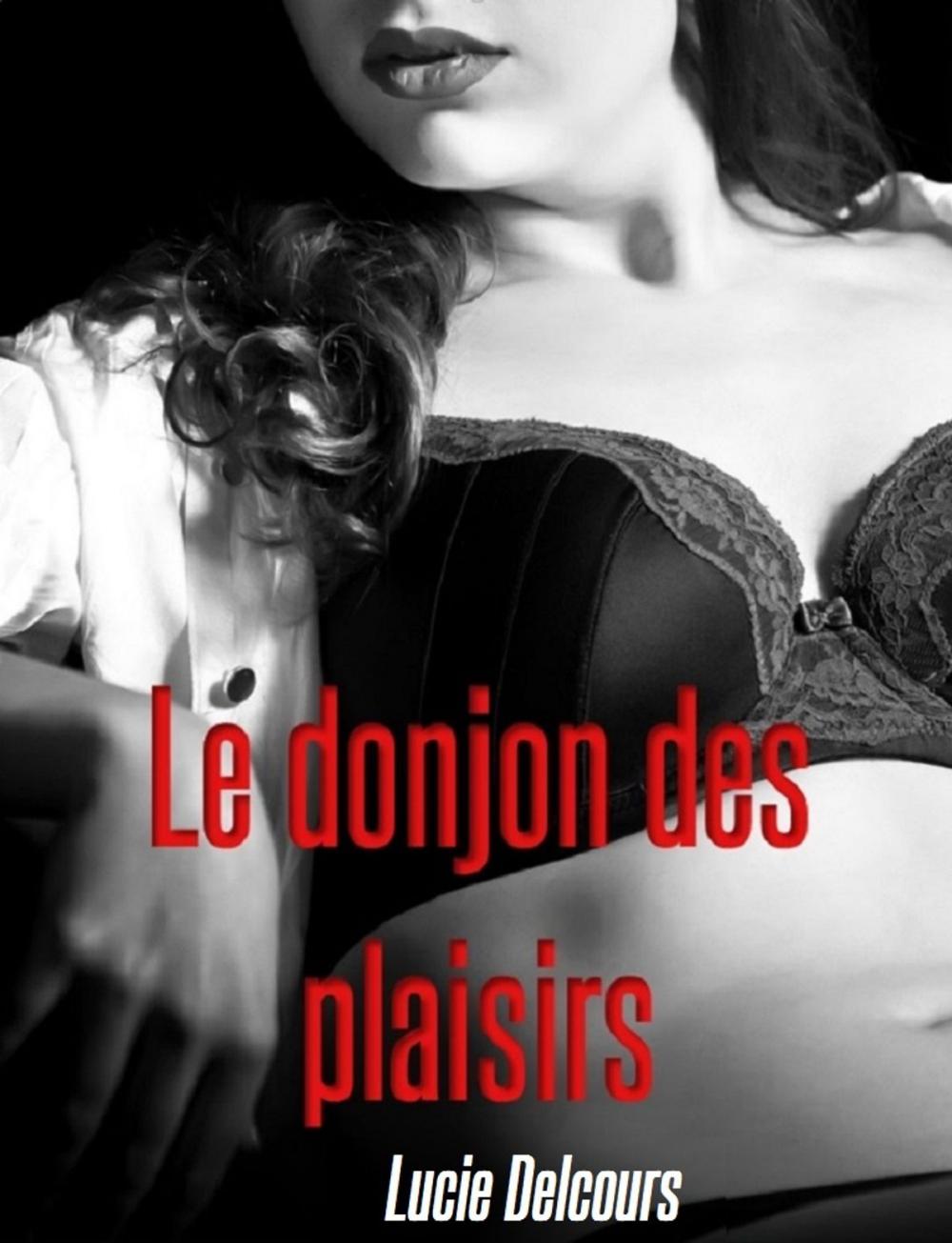 Big bigCover of Le donjon des plaisirs