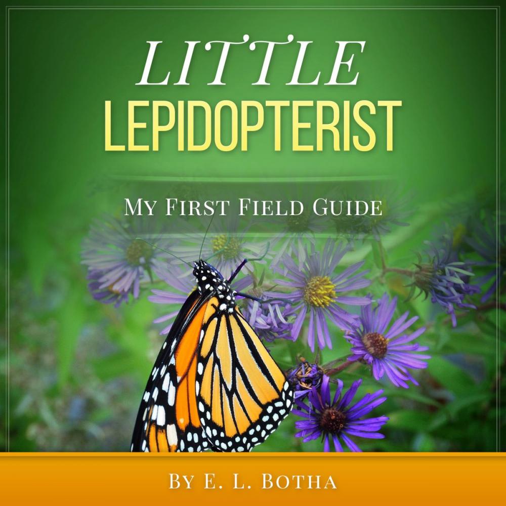 Big bigCover of Little Lepidopterist