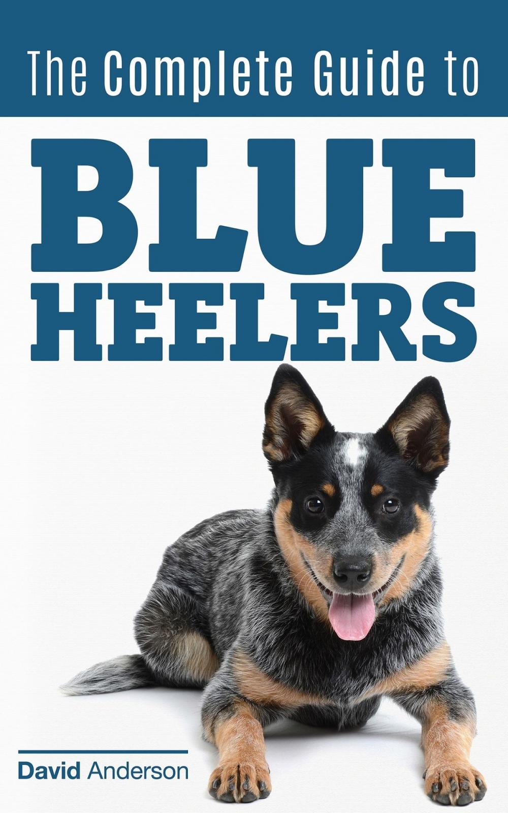 Big bigCover of The Complete Guide to Blue Heelers