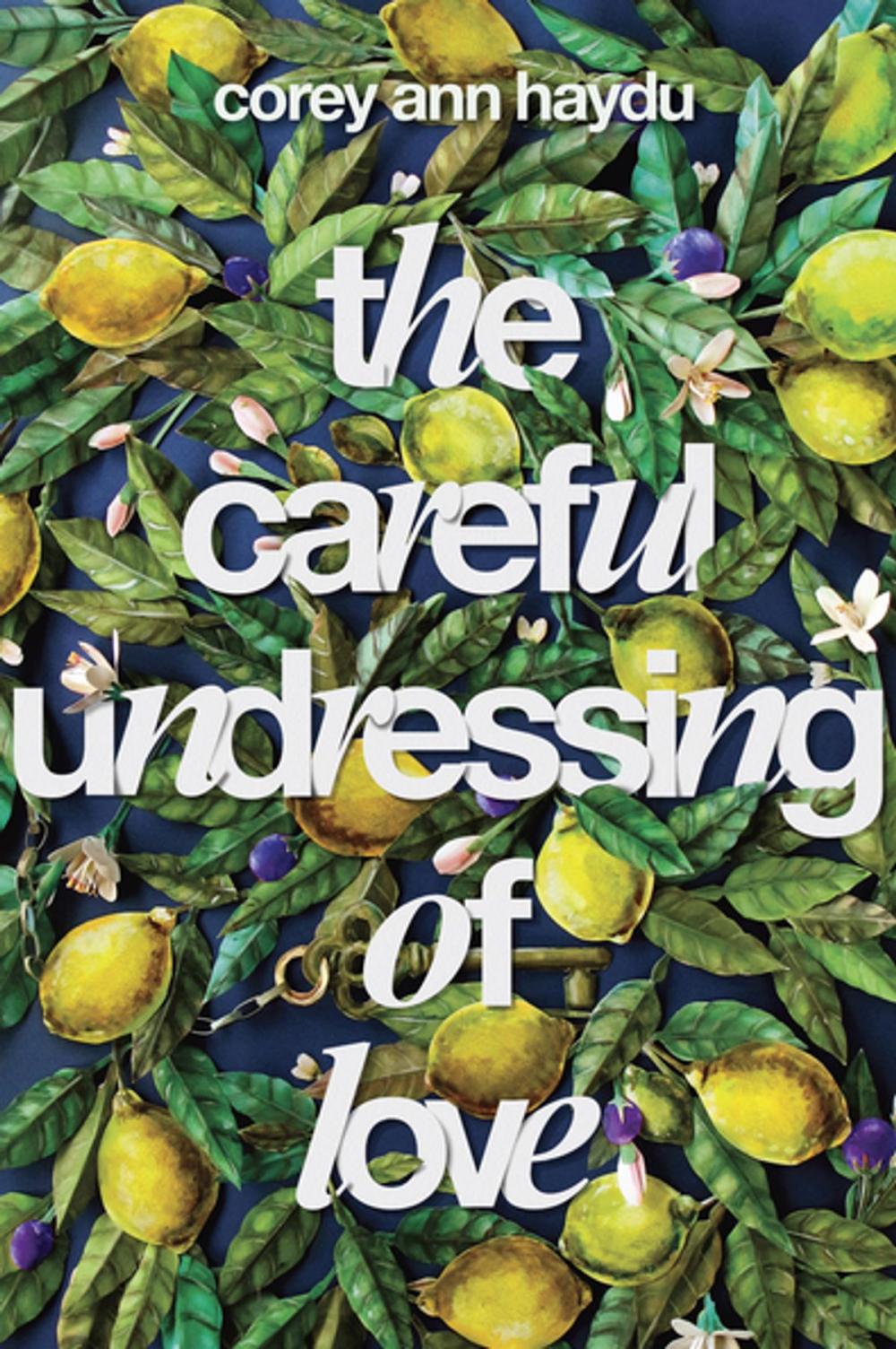 Big bigCover of The Careful Undressing of Love
