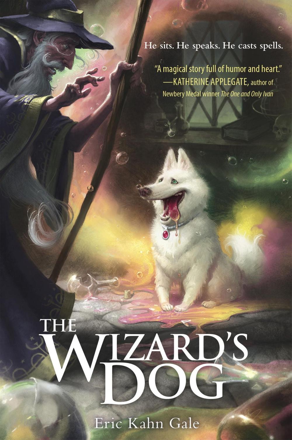 Big bigCover of The Wizard's Dog
