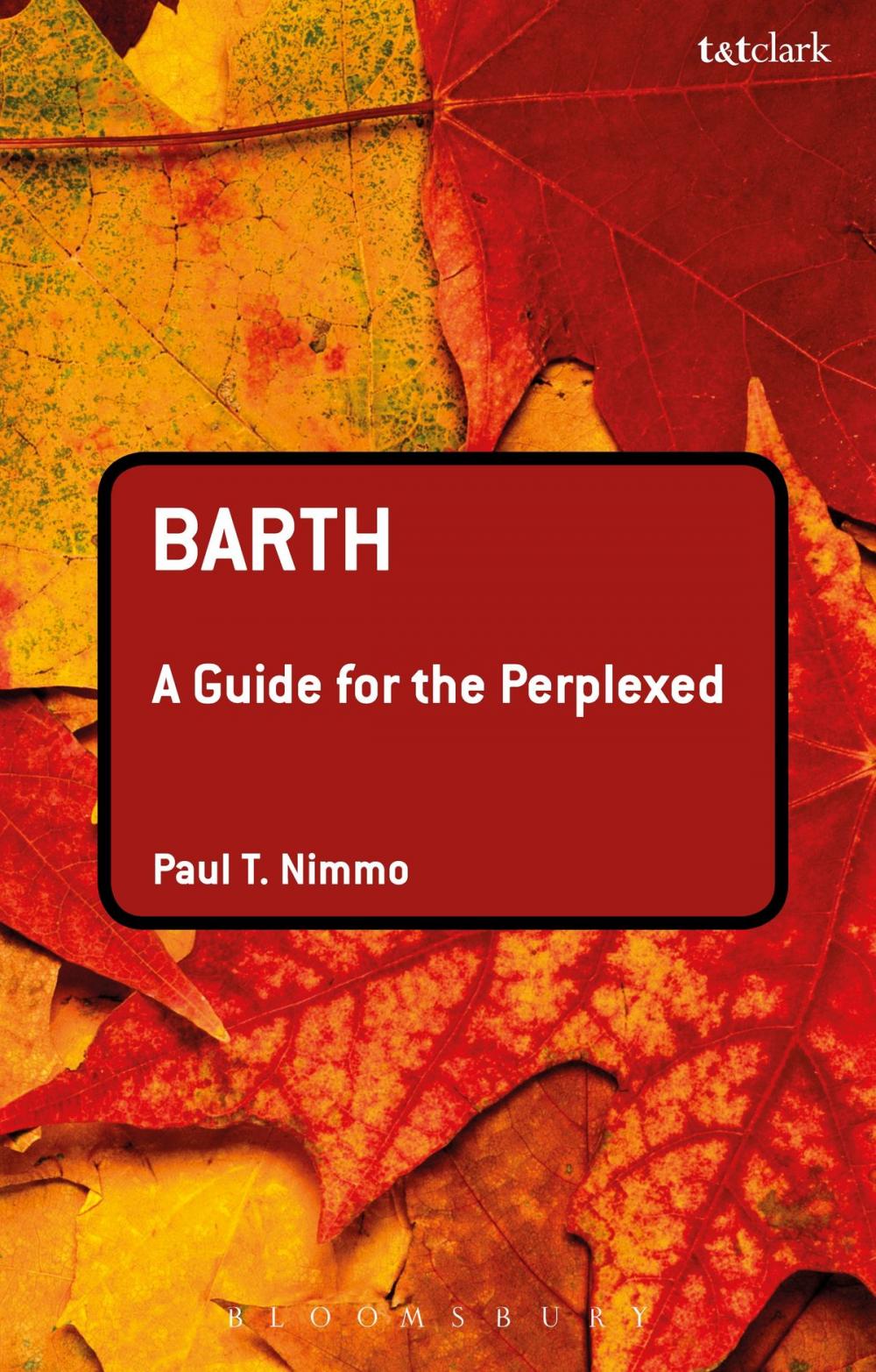 Big bigCover of Barth: A Guide for the Perplexed