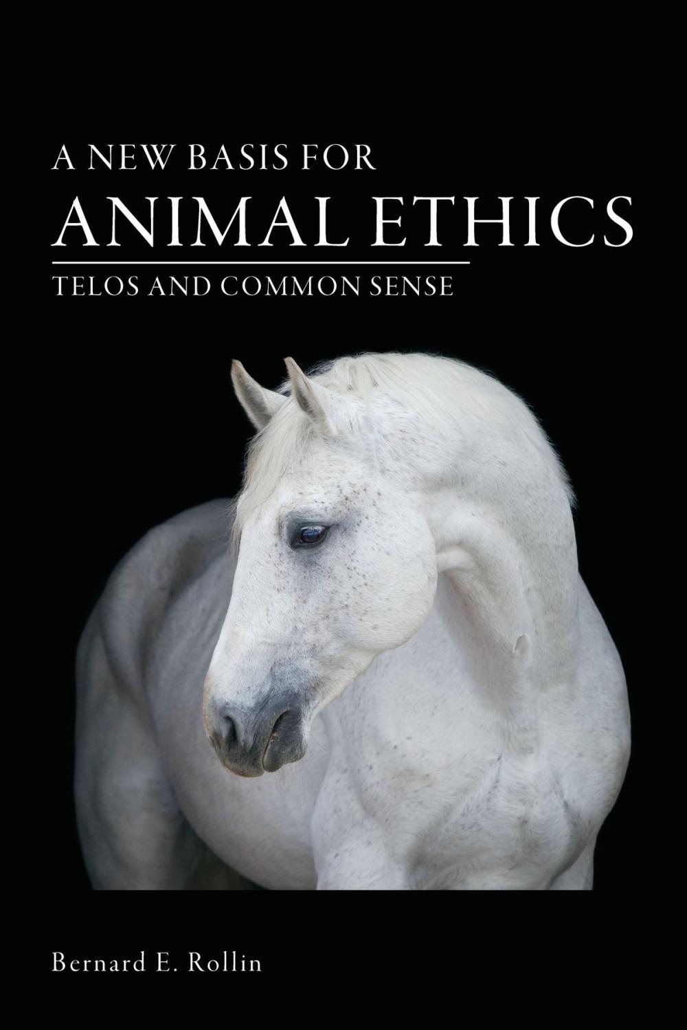Big bigCover of A New Basis for Animal Ethics
