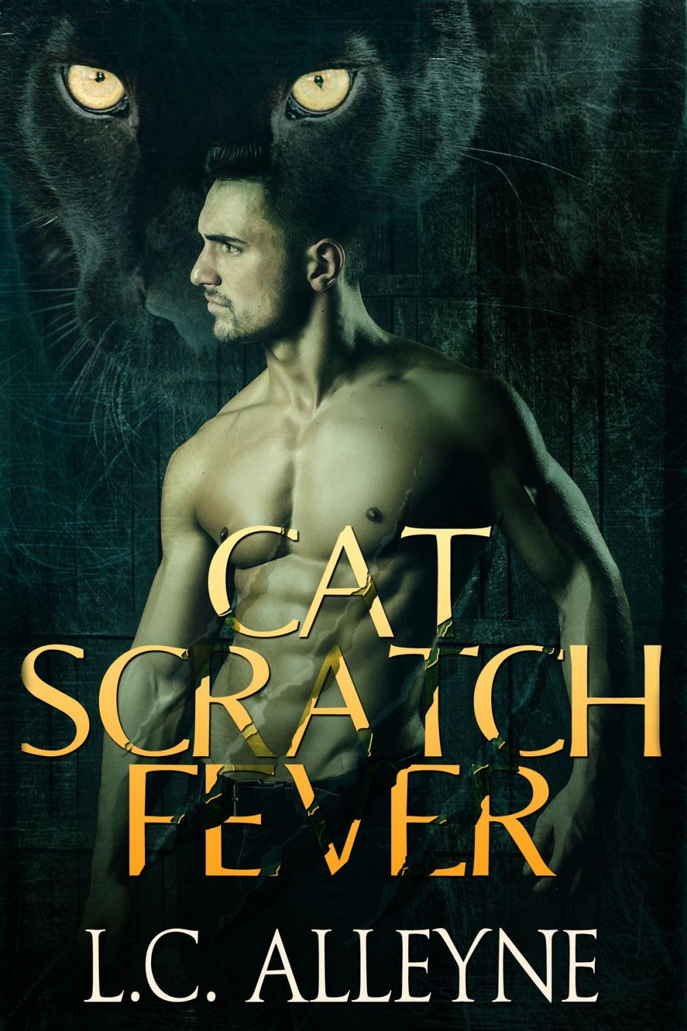 Big bigCover of Cat Scratch Fever