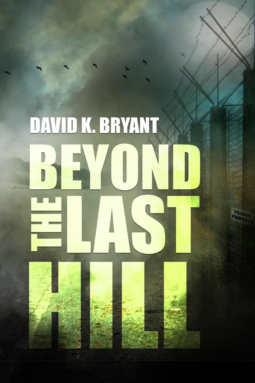 Big bigCover of Beyond the Last Hill