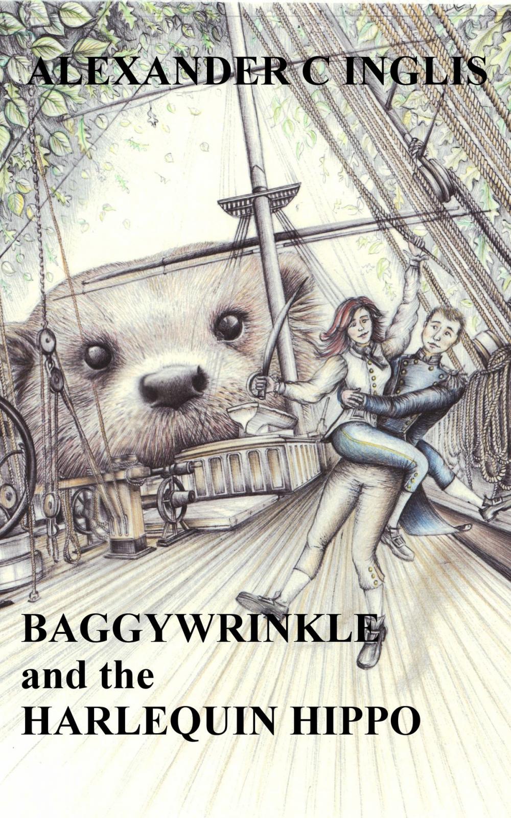 Big bigCover of Baggywrinkle and the Harlequin Hippo