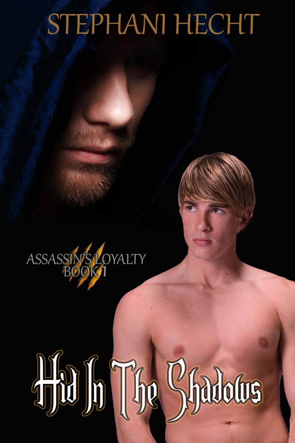 Big bigCover of Hid in the Shadows: Assassin's Loyalty Book 1