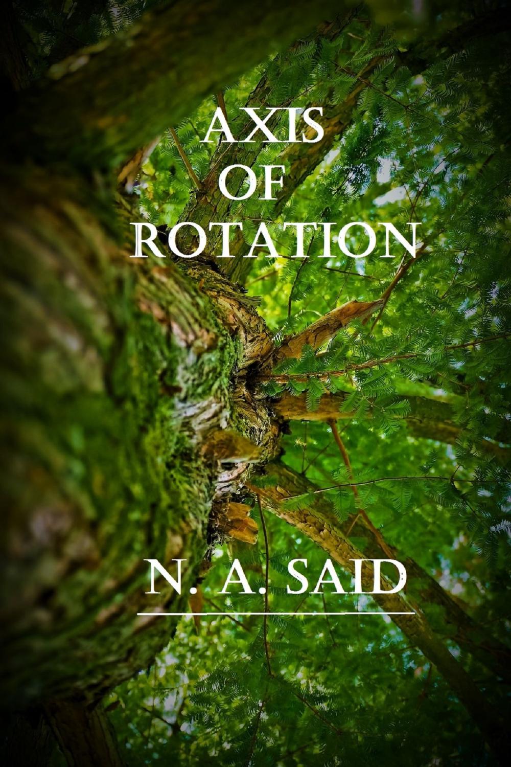Big bigCover of Axis of Rotation