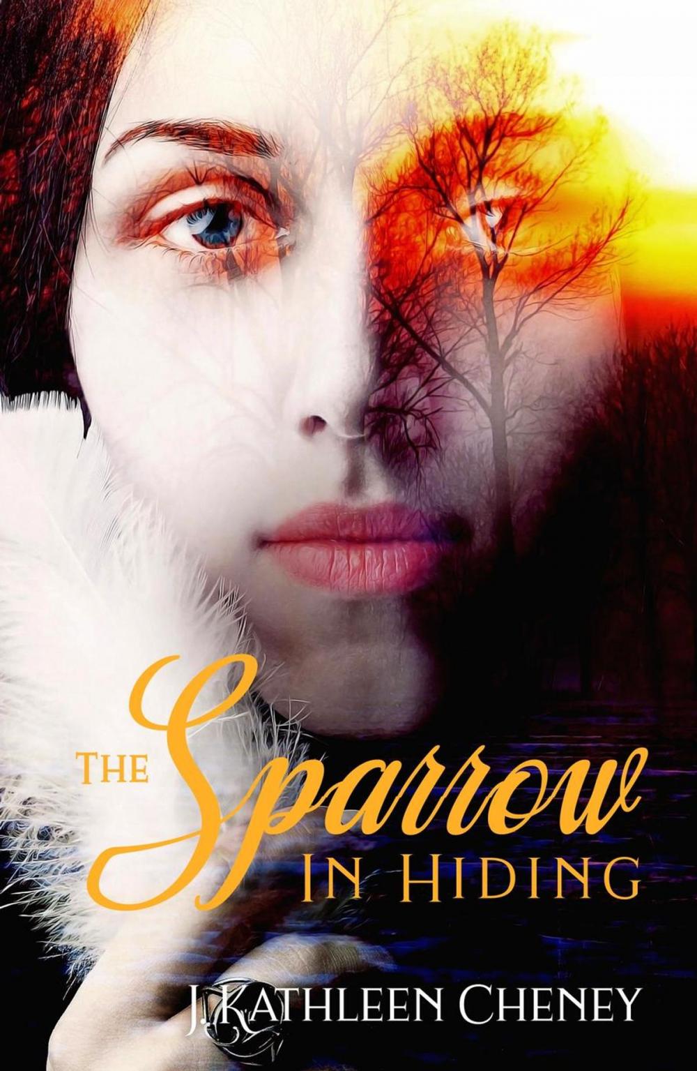 Big bigCover of The Sparrow in Hiding