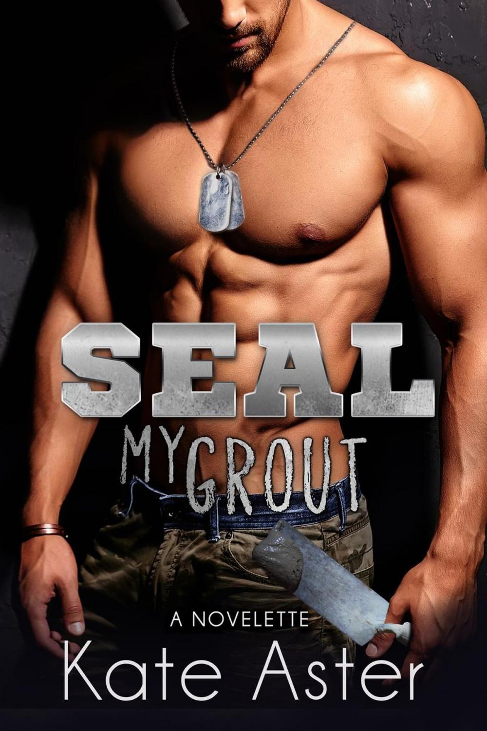 Big bigCover of SEAL My Grout