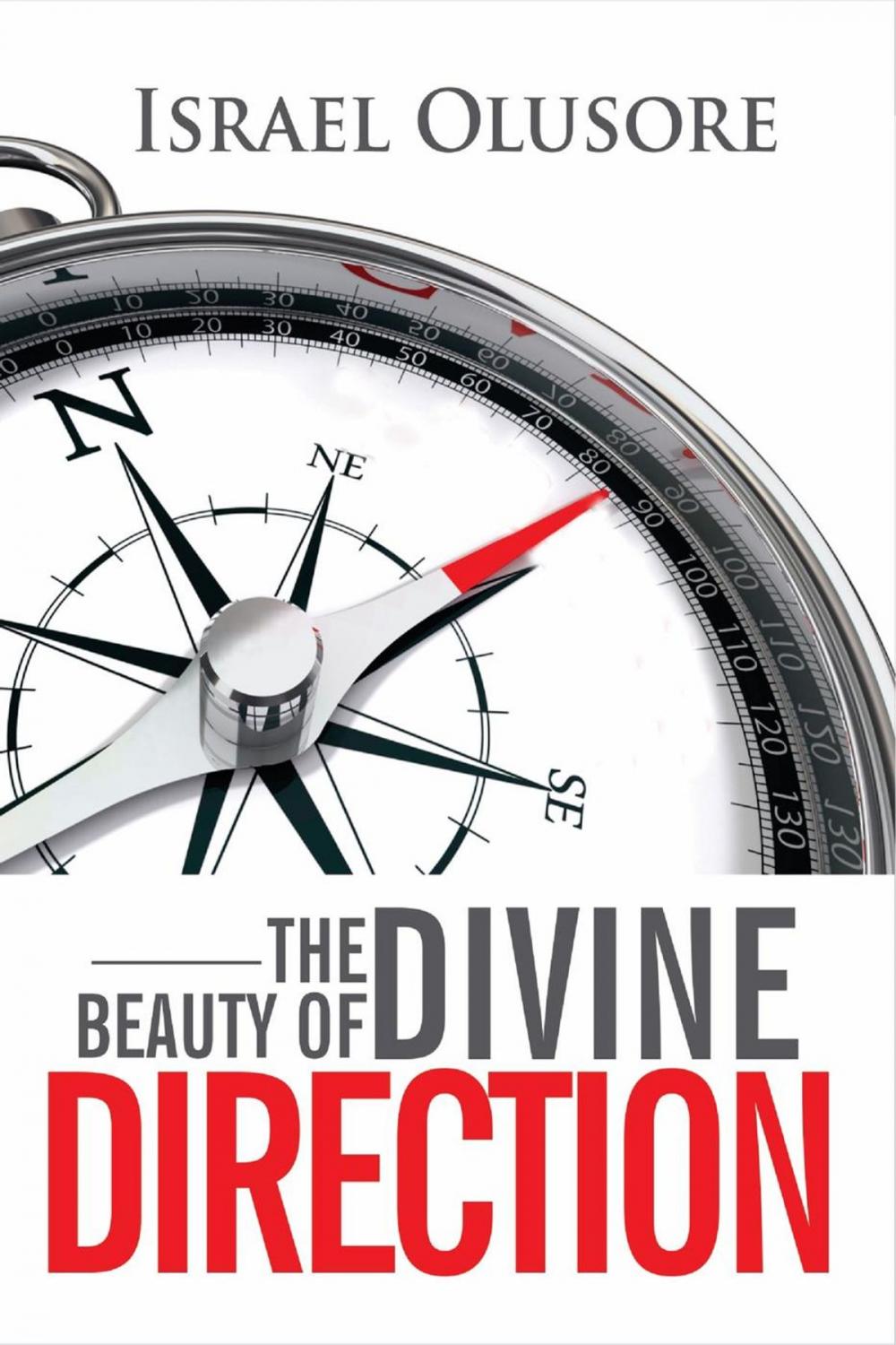 Big bigCover of The Beauty of Divine Direction