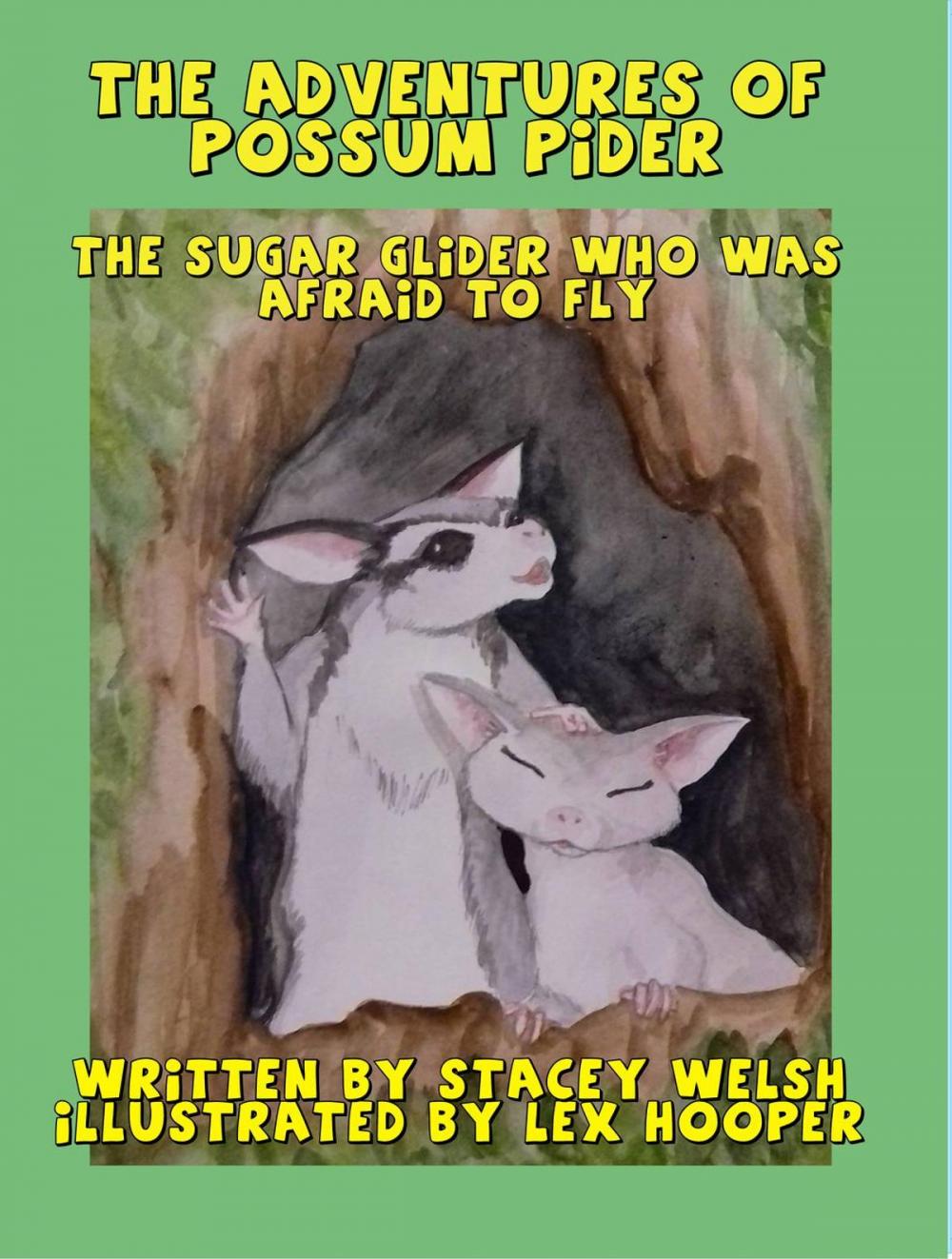 Big bigCover of The Adventures of Possum Pider: The Sugar Glider Who Was Afraid To fly