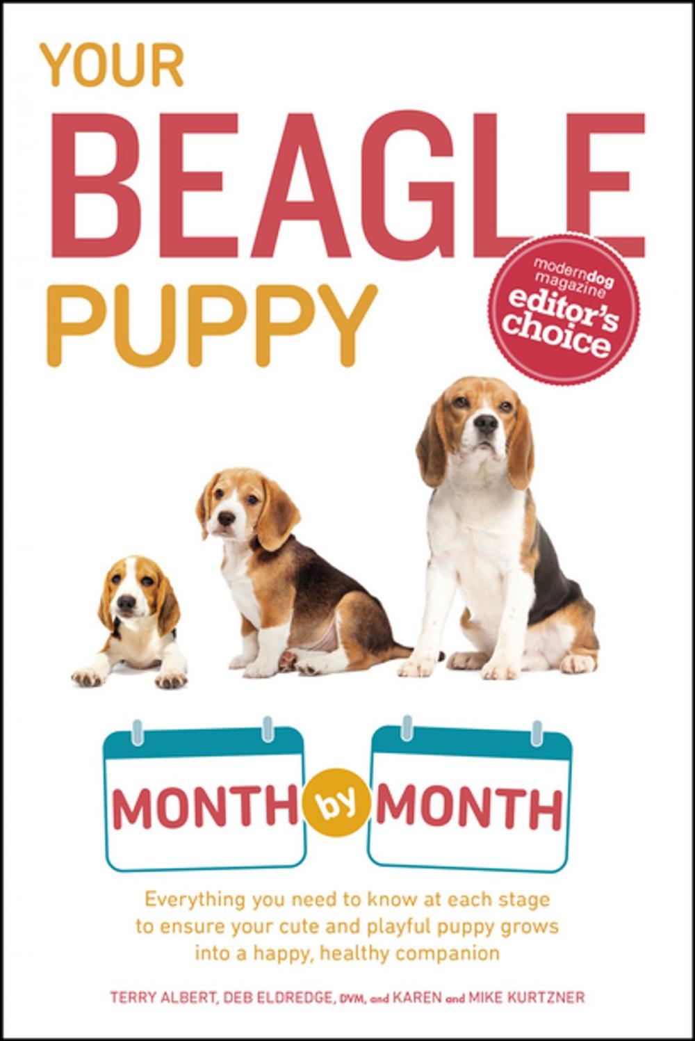 Big bigCover of Your Beagle Puppy Month by Month