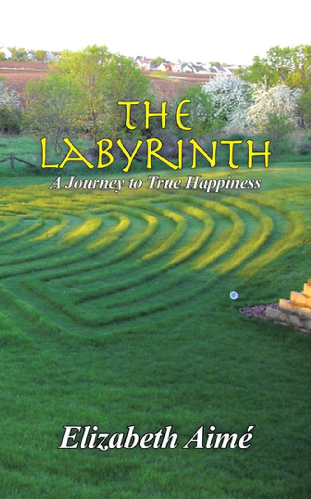 Big bigCover of The Labyrinth