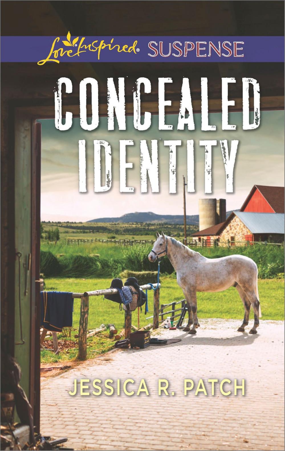 Big bigCover of Concealed Identity