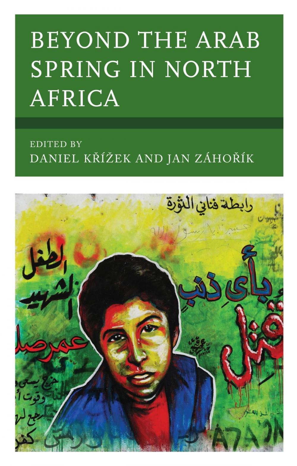 Big bigCover of Beyond the Arab Spring in North Africa