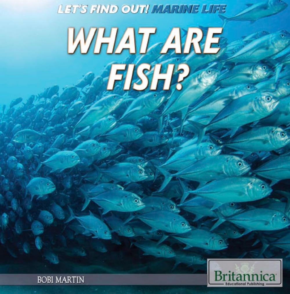 Big bigCover of What Are Fish?