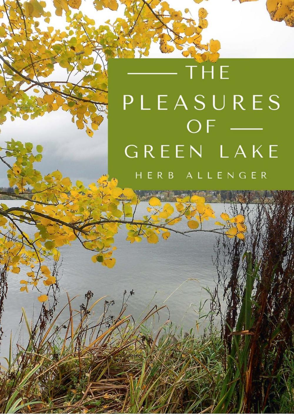 Big bigCover of The Pleasures of Green Lake