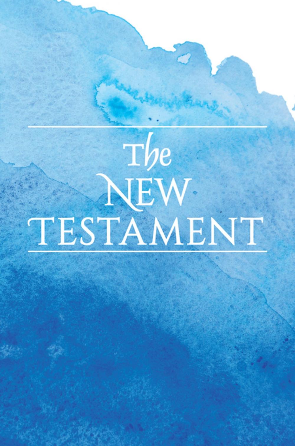 Big bigCover of New Testament