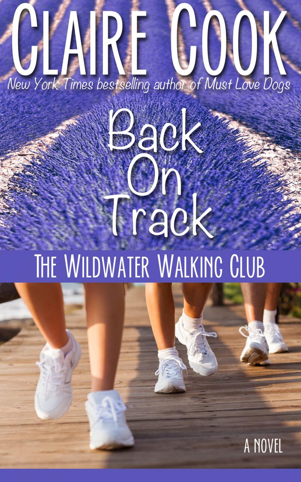 Big bigCover of The Wildwater Walking Club: Back on Track