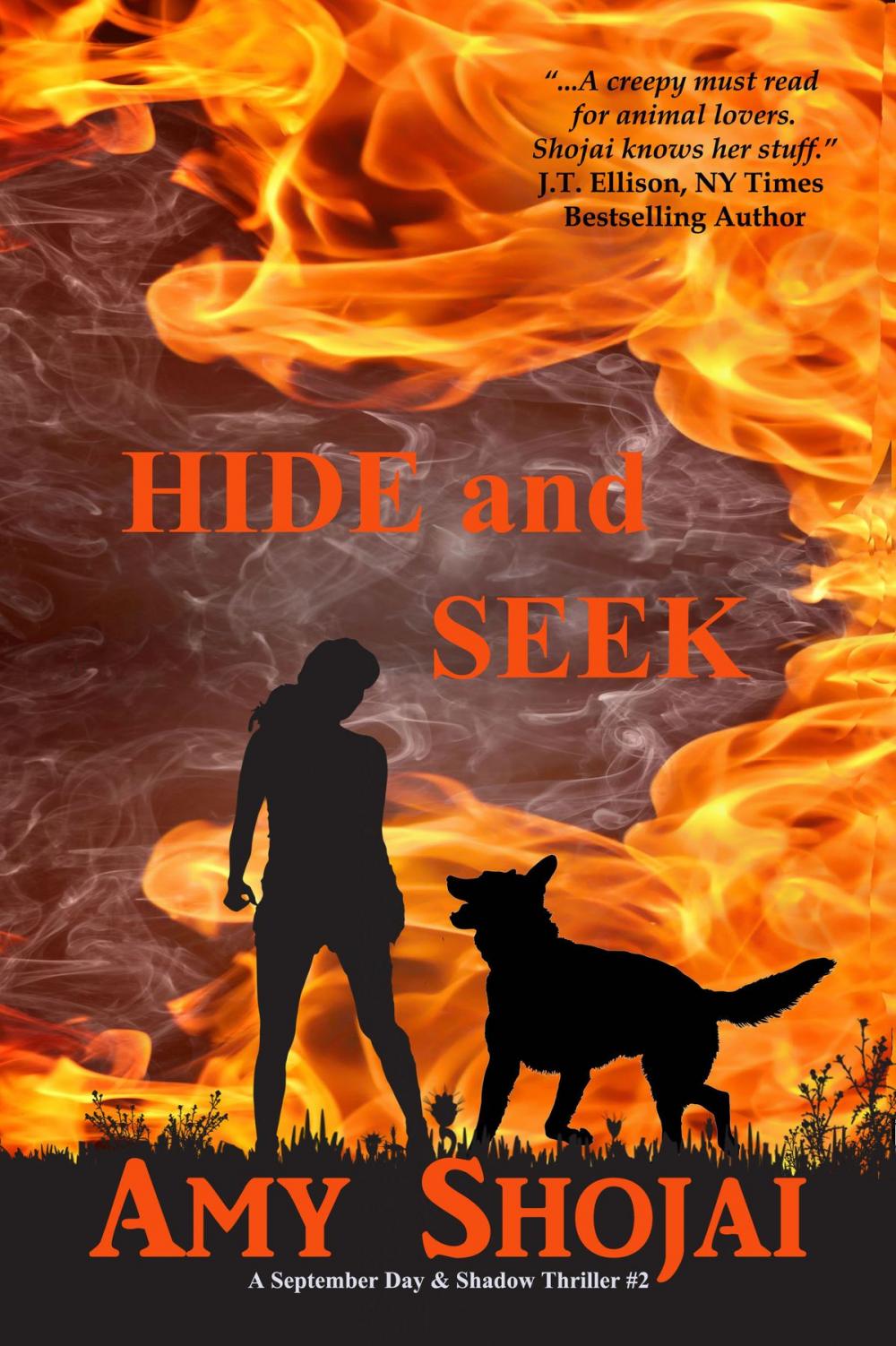 Big bigCover of Hide And Seek
