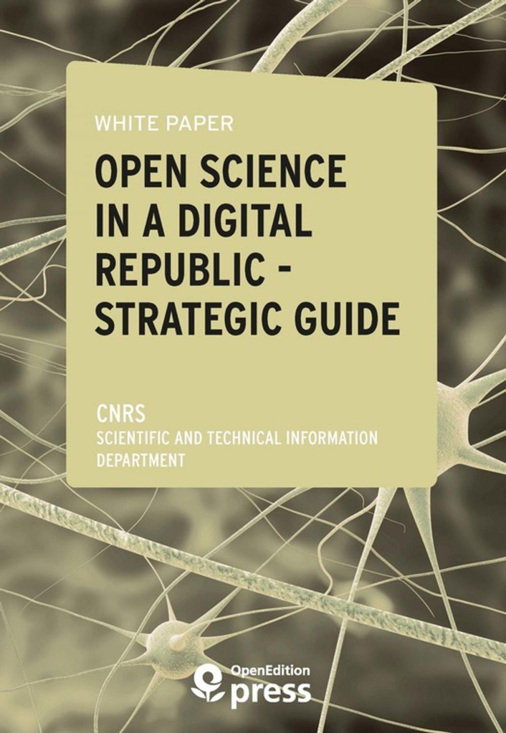 Big bigCover of White Paper — Open Science in a Digital Republic — Strategic Guide