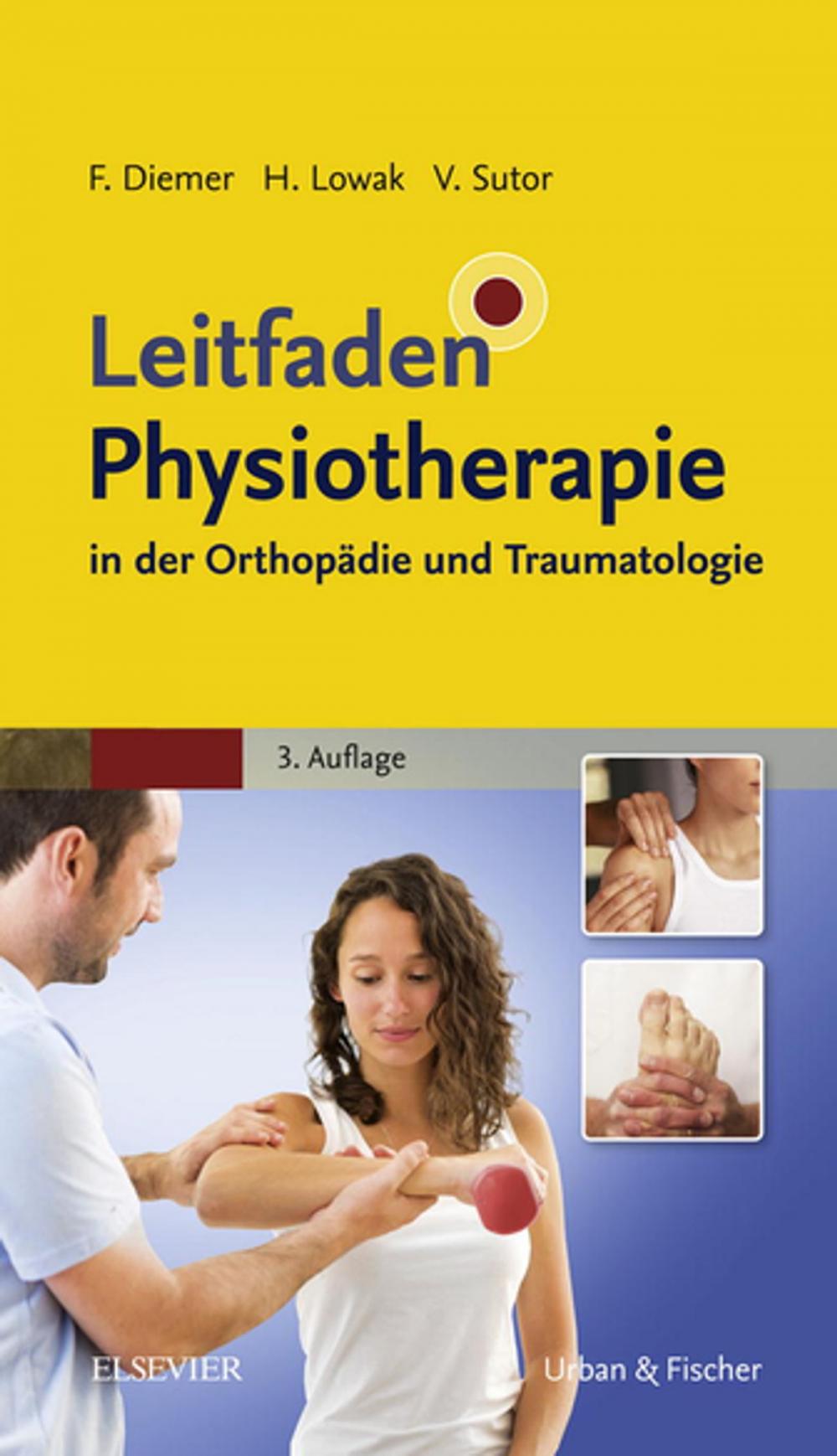 Big bigCover of Leitfaden Physiotherapie in der Orthopädie und Traumatologie