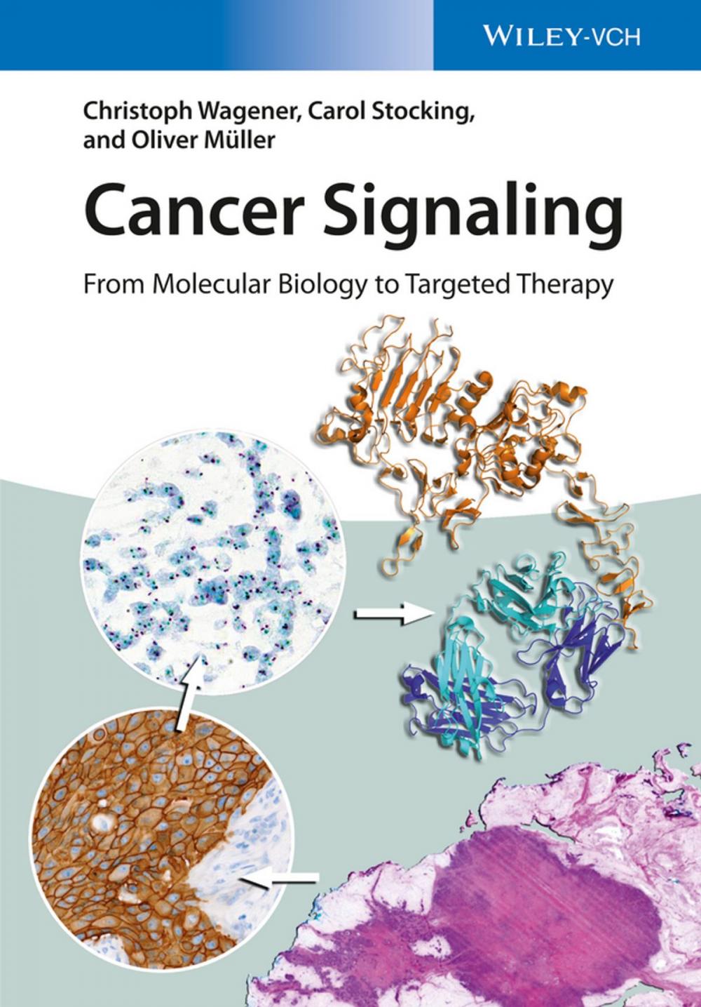 Big bigCover of Cancer Signaling, Enhanced Edition