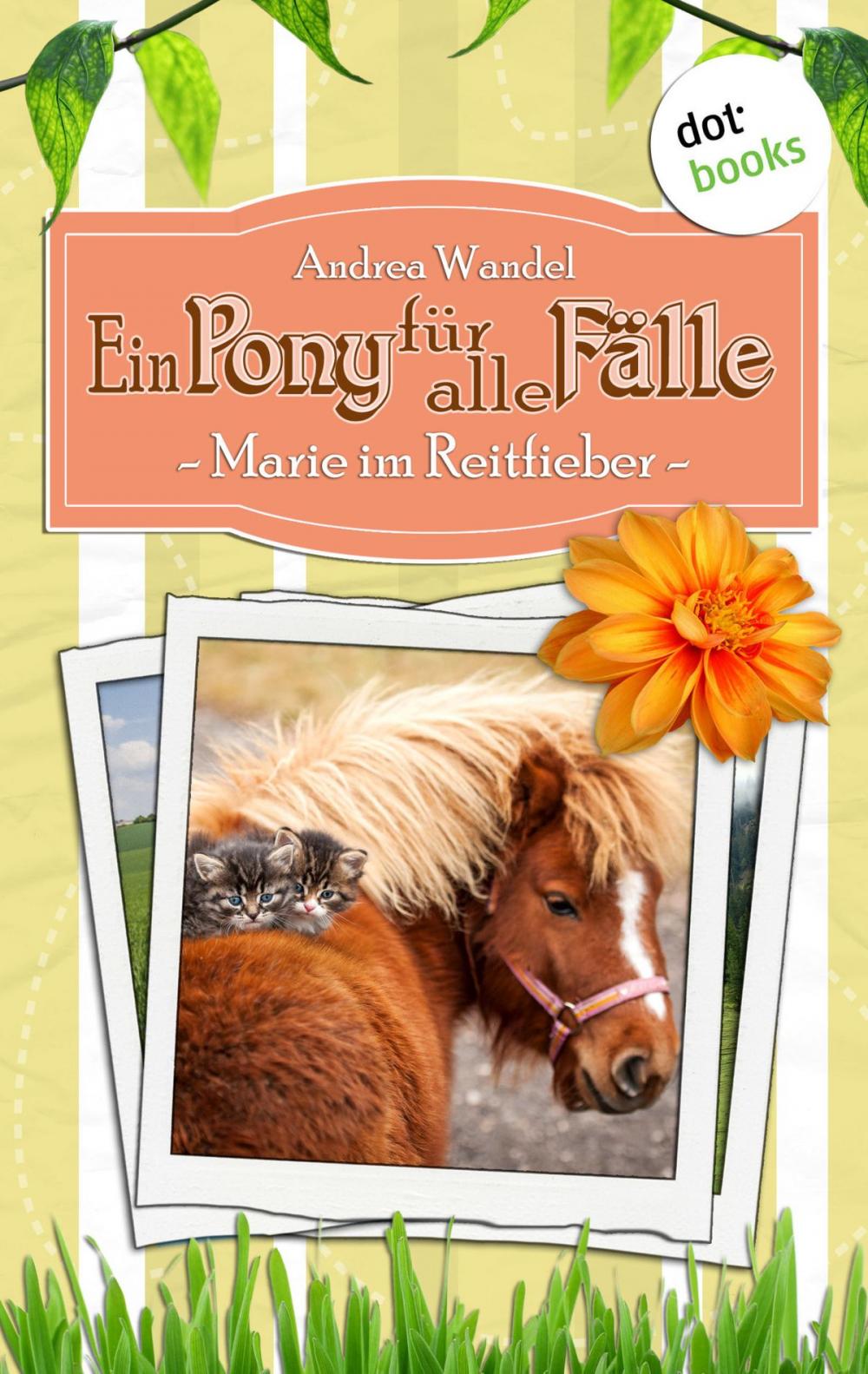 Big bigCover of Ein Pony für alle Fälle - Zweiter Roman: Marie im Reitfieber