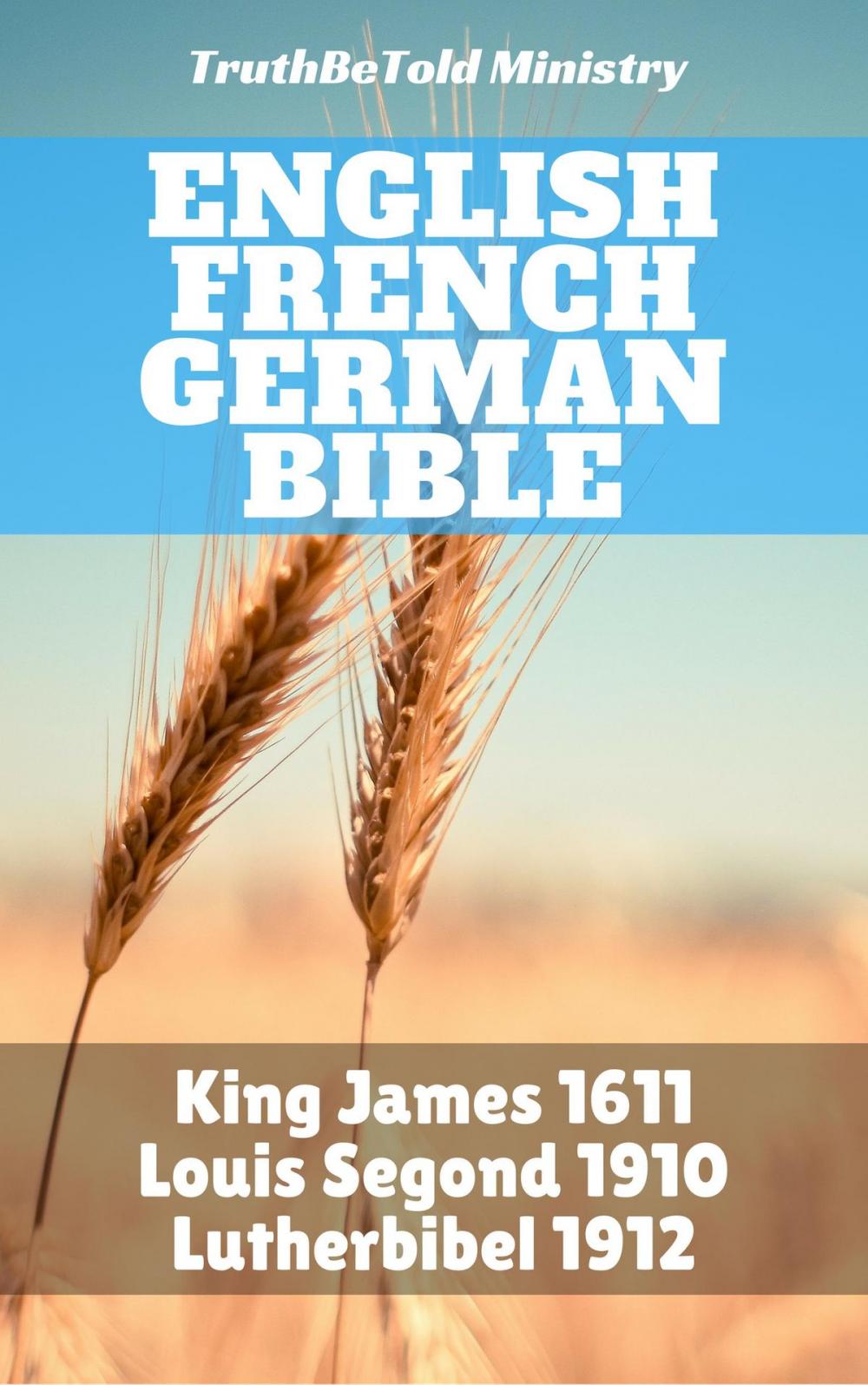 Big bigCover of English French German Bible