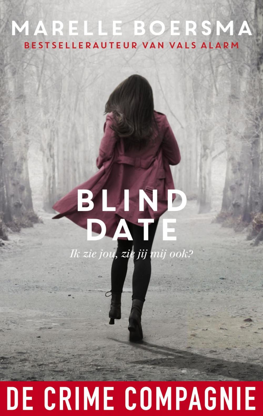Big bigCover of Blind date