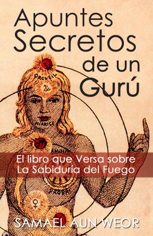 Cover of the book APUNTES SECRETOS DE UN GURU by P. Pavri