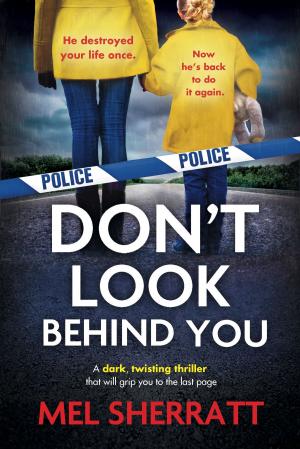 Cover of the book Don't Look Behind You by Holly Martin