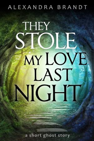 Cover of the book They Stole My Love Last Night by Alexandra Brandt