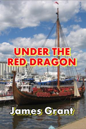 Cover of the book Under the Red Dragon by Clarence E. Mulford