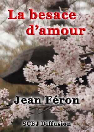 Cover of the book La besace d'amour (Illustré) by Anne Seaworthy