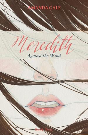 bigCover of the book Meredith Against the Wind by 