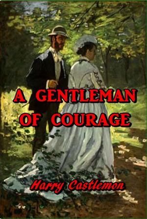Cover of the book A Gentleman of Courage by Andy Adams