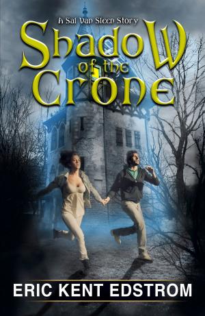 Cover of the book Shadow of the Crone by Aric Shaw